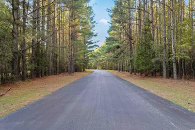 280 Mary George Ln., Georgetown, SC 29440 - Photo 32