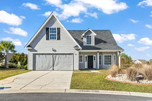 308 Freshwater Ct, Myrtle Beach, SC 29588 - Photo 34
