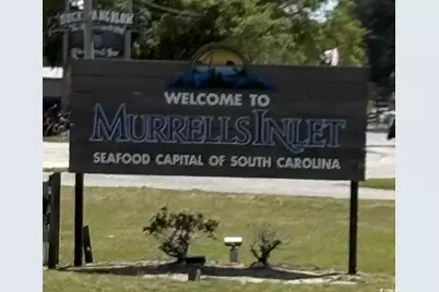 604 Canborough Lane, Murrells Inlet, SC 29576 - Photo 22