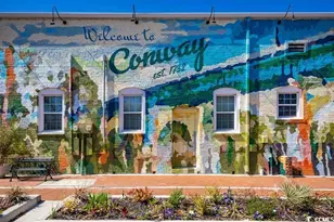 2047 Palm Mdws Wy, Conway, SC 29526 - Photo 14