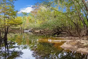 278 Rivers Edge Dr, Conway, SC 29526 - Photo 38