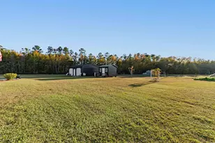 5200 Joyner Swamp Rd, Galivants Ferry, SC 29544 - Photo 36