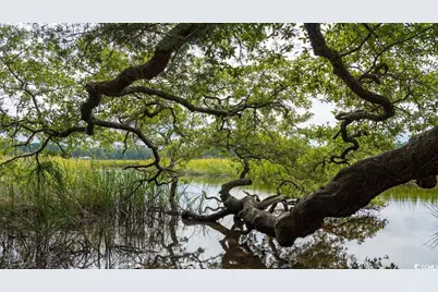 740 Grateful Dr., Little River, SC 29566 - Photo 28