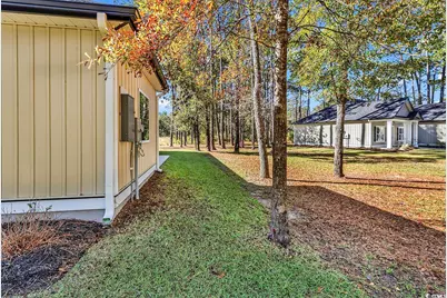 5310 Pauley Swamp Rd., Conway, SC 29527 - Photo 38