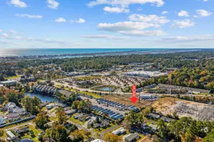 221 Addison Cottage Way, Murrells Inlet, SC 29576 - Photo 34