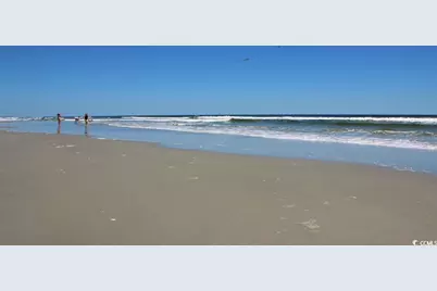 291 Long Beard Way, Longs, SC 29568 - Photo 14