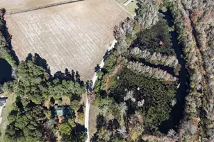 6800 Black Creek Rd, Nichols, SC 29581 - Photo 8