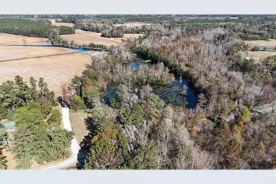 6800 Black Creek Rd., Nichols, SC 29581 - Photo 4