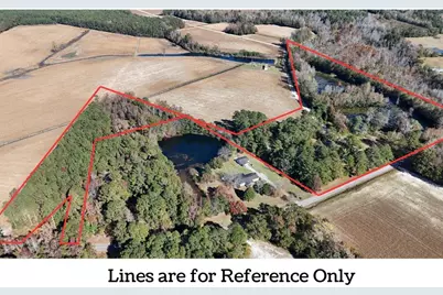 6800 Black Creek Rd., Nichols, SC 29581 - Photo 6