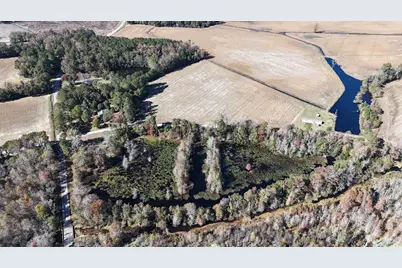 6800 Black Creek Rd., Nichols, SC 29581 - Photo 10