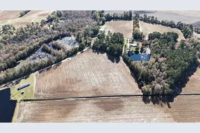 6800 Black Creek Rd., Nichols, SC 29581 - Photo 12