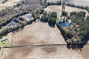 6800 Black Creek Rd, Nichols, SC 29581 - Photo 12