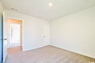 1560 Swing Bridge Way, Myrtle Beach, SC 29588 - Photo 30