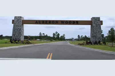 5045 Yellowstone Dr., Conway, SC 29526 - Photo 26