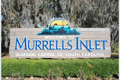40 Shamrock Circle, Murrells Inlet, SC 29576 - Photo 22