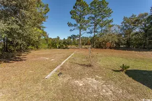 149 Dayglow Dr, Loris, SC 29569 - Photo 34