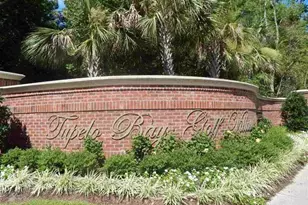 1000 Ray Costin Way, Garden City, SC 29576 - Photo 32