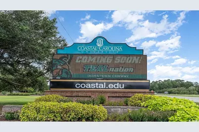 601 Golden Resin Rd #Lot 176, Conway, SC 29526 - Photo 28