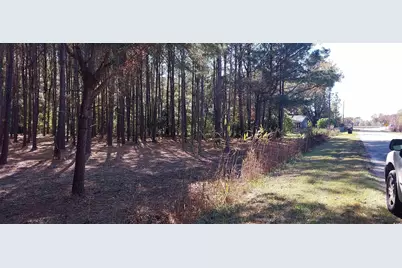 0 Millers Rd., Mullins, SC 29574 - Photo 2