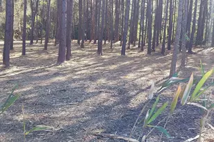 0 Millers Rd, Mullins, SC 29574 - Photo 1