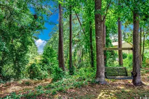 4525 Greenbriar Dr, Little River, SC 29566 - Photo 8