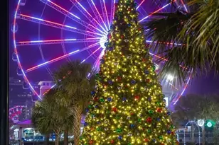 7293 Guinevere Cir, Myrtle Beach, SC 29588 - Photo 40