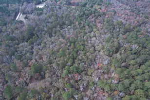 7262 N Brewington Rd, Manning, SC 29102 - Photo 8