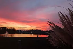 304 Spartina Ct, North Myrtle Beach, SC 29582 - Photo 38