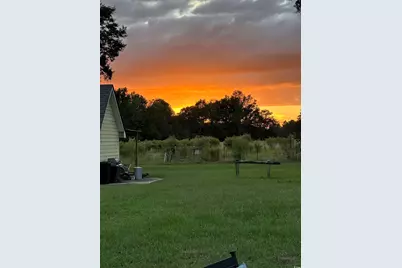 10463 County Line Rd., Hemingway, SC 29554 - Photo 28