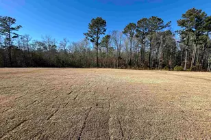 450 Castillo Dr, Loris, SC 29569 - Photo 22