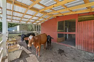 2323 Main St, Loris, SC 29569 - Photo 10