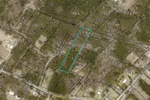 Tbd Pepperberry Ln, Georgetown, SC 29440 - Photo 1