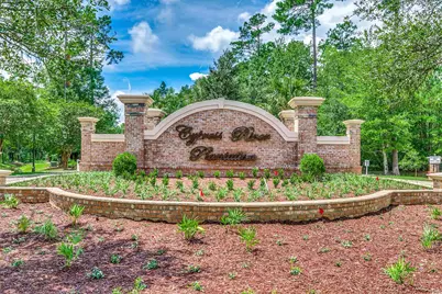 269 Chamberlin Rd., Myrtle Beach, SC 29588 - Photo 6