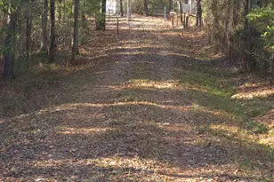 150 Landmark Rd, Conway, SC 29527 - Photo 32