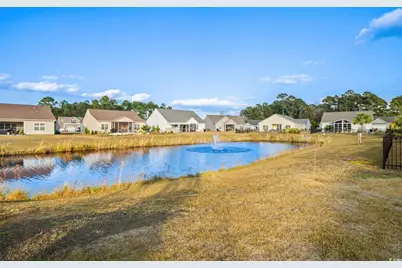 187 Palm Terrace Loop, Conway, SC 29526 - Photo 32