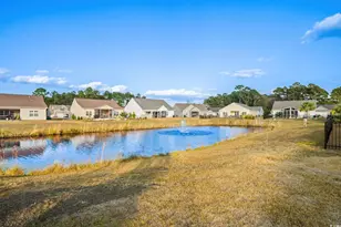 187 Palm Terrace Loop, Conway, SC 29526 - Photo 32