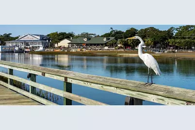 378 Wingspan Ct., Myrtle Beach, SC 29588 - Photo 22