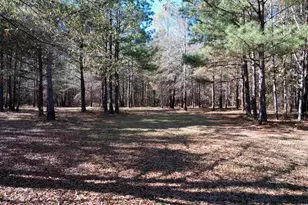 393 Coleman Rd, Greeleyville, SC 29056 - Photo 20