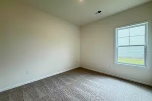 316 Palmetto Sand Loop, Conway, SC 29527 - Photo 18
