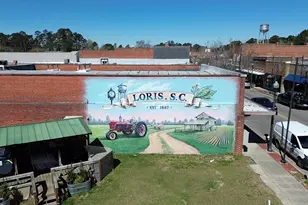 148 Bjorn Way, Longs, SC 29568 - Photo 30