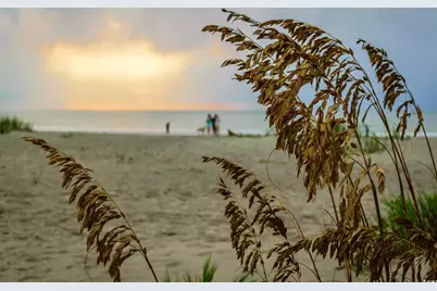 403 32nd Ave. N, Myrtle Beach, SC 29577 - Photo 40