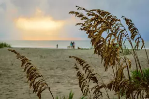 403 32nd Ave N, Myrtle Beach, SC 29577 - Photo 40