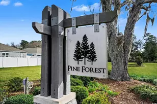 211 Pine Forest Dr, Conway, SC 29526 - Photo 30