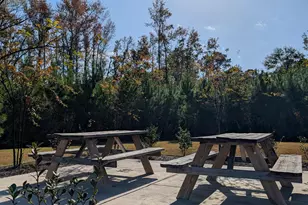 351 Lakota Loop, Longs, SC 29568 - Photo 28