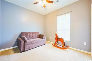 207 Long Leaf Pine Dr, Conway, SC 29526 - Photo 26