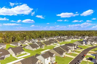 124 Albatross Wy, Myrtle Beach, SC 29579 - Photo 14