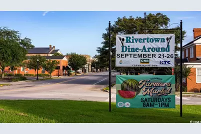 2617 Hudson Trail, Conway, SC 29526 - Photo 8