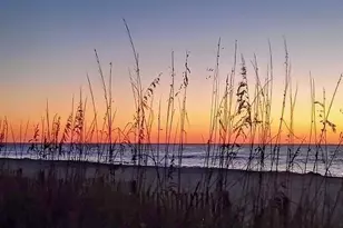 1207 S Ocean Blvd, Myrtle Beach, SC 29577 - Photo 32