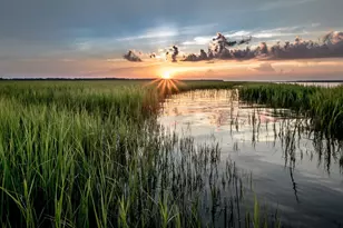 1314 Seachase Way, North Myrtle Beach, SC 29582 - Photo 36