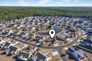 1427 Half Penny Loop, Conway, SC 29526 - Photo 40